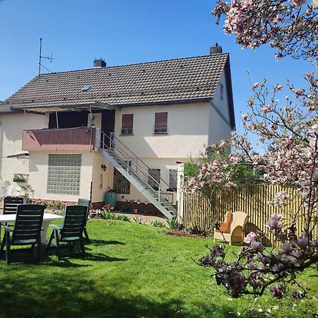 Ferienhaus Richard Eschwege Ngoại thất bức ảnh
